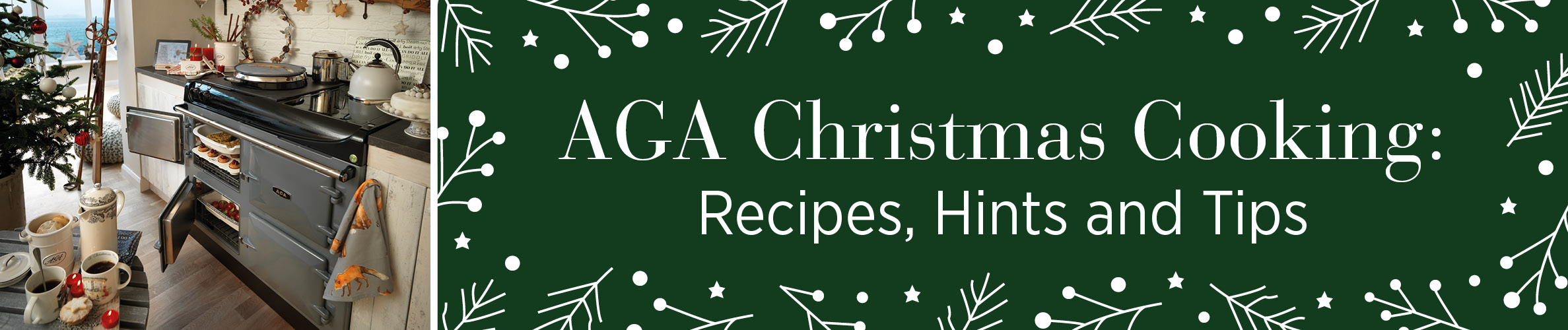 The World's Best Cooking Experience AGA Living